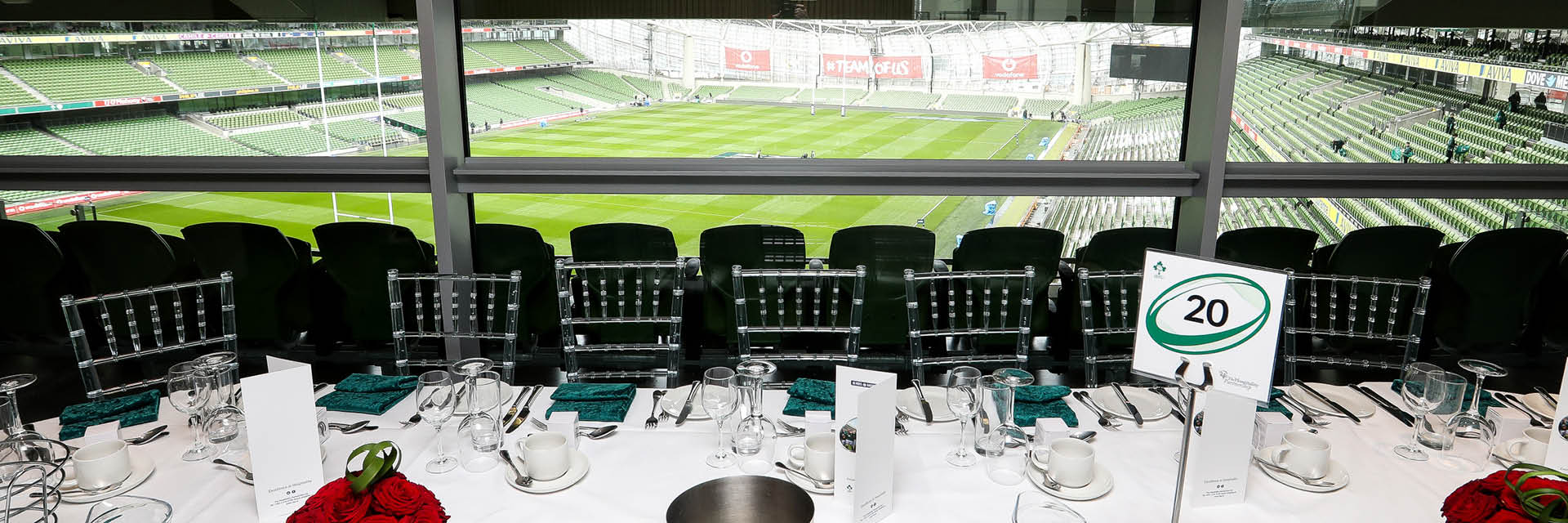 Aviva stadium facilites.1