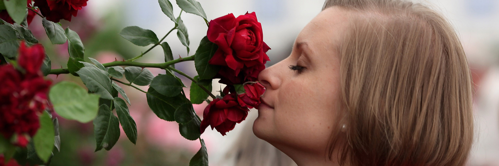RHS Chelsea Flower Show